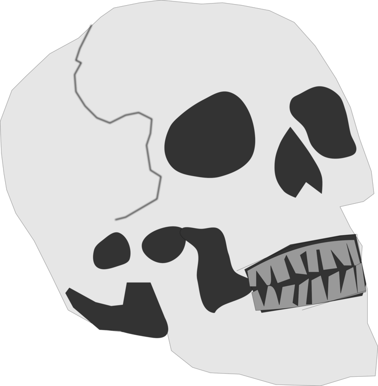 Skull And Crossbones Human Skeleton - Clipart Skull Head Small - Png Download (735x750), Png Download