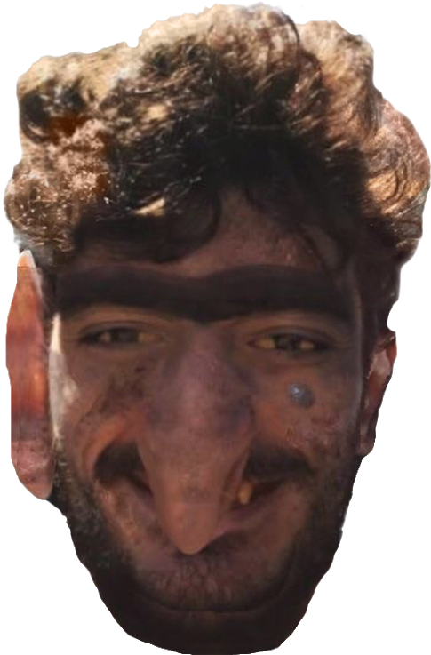 Ice Poseidon Face Png Clipart (506x750), Png Download