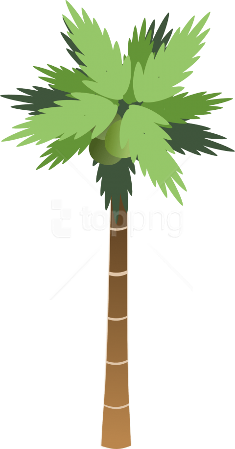 Free Png Download Palm Tree Clipart Png Photo Png Images - Cartoon Palm Tree Png Transparent Png (480x916), Png Download