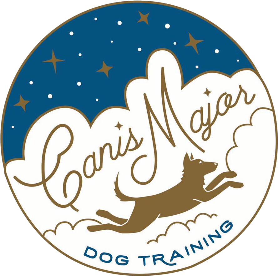 Static Png Clipart (960x960), Png Download