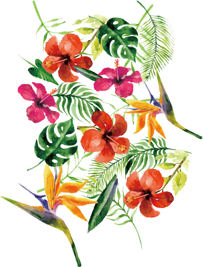 Flower Clipart Png - Estampas De Flores Transparent Png (791x1024), Png Download