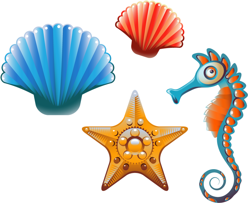 Clam Seashell Cartoon Clip Art - Cartoon Shells - Png Download (877x882), Png Download