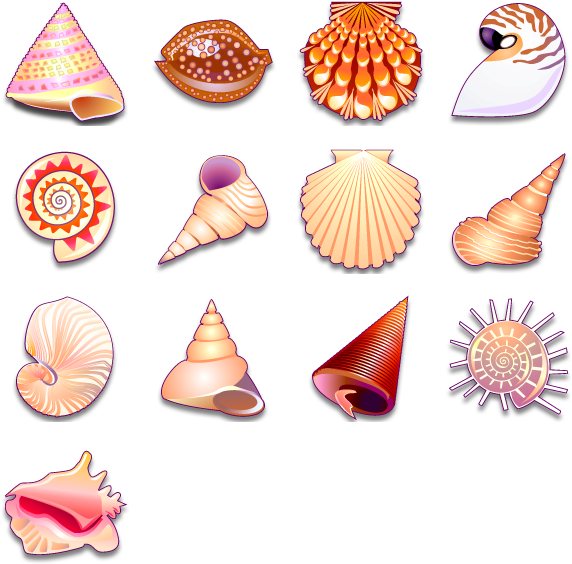 13 Free Icons, Icon Search Engine - Sea Shell Vector Png Clipart (592x592), Png Download