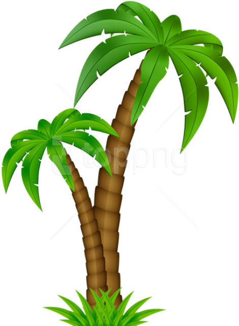 Free Png Download Palm Cartoon Png Images Background - Cartoon Transparent Background Palm Tree Png Clipart (480x648), Png Download