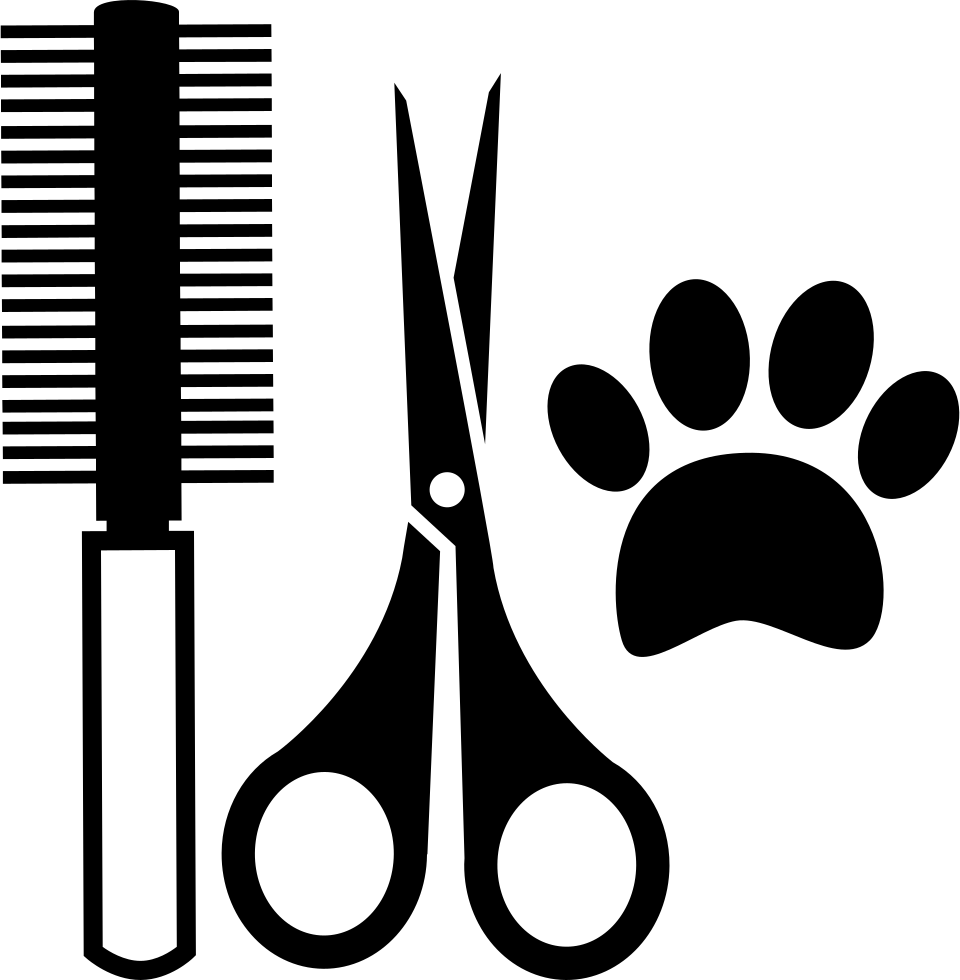 Png File Svg - Herramientas De Un Veterinario Para Colorear Clipart (960x980), Png Download