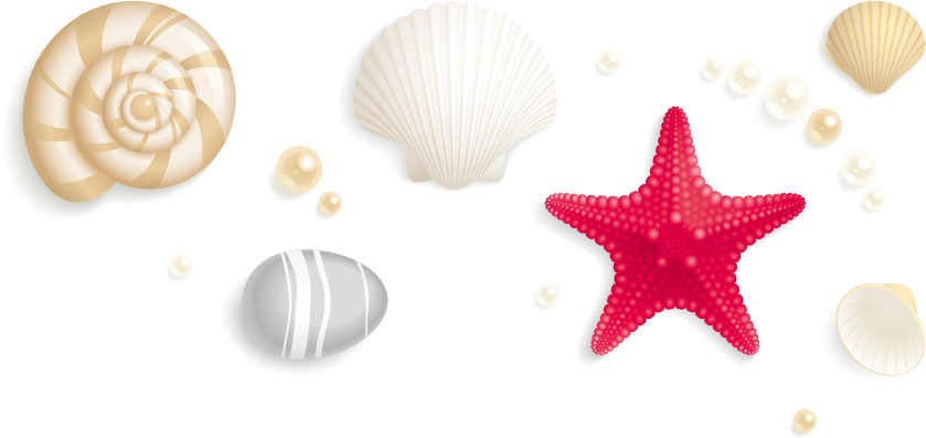 Jpg Free Download Seashell Stock Photography Royalty - Starfish Pearl Png Clipart (876x882), Png Download