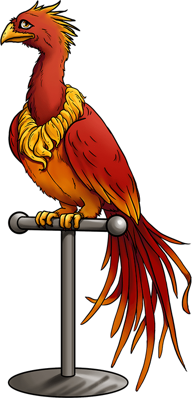 Phoenix - Cartoon Clipart (388x800), Png Download