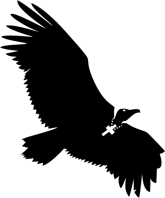 #save Nepal From Missionariespic - Black Buzzard Wings Spread Clipart (558x672), Png Download