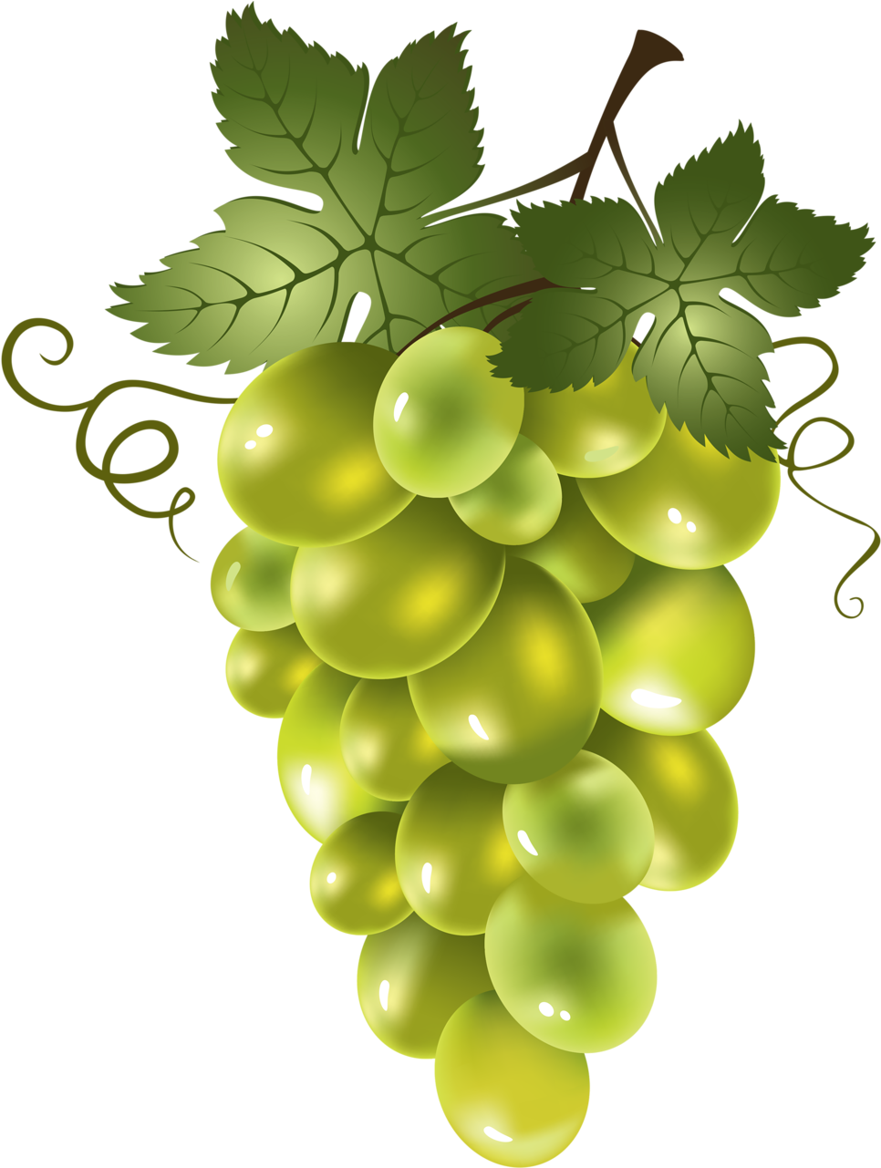 Яндекс - Фотки - Red Seedless Grapes Clip Art - Png Download (1008x1280), Png Download