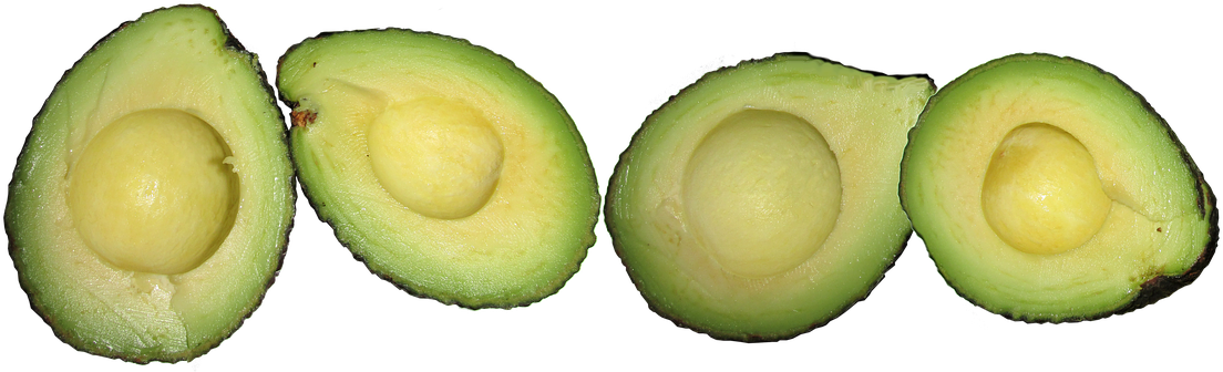 Avocado Food Healthy Vegetarian Vitamins - Avocado Clipart (1133x340), Png Download