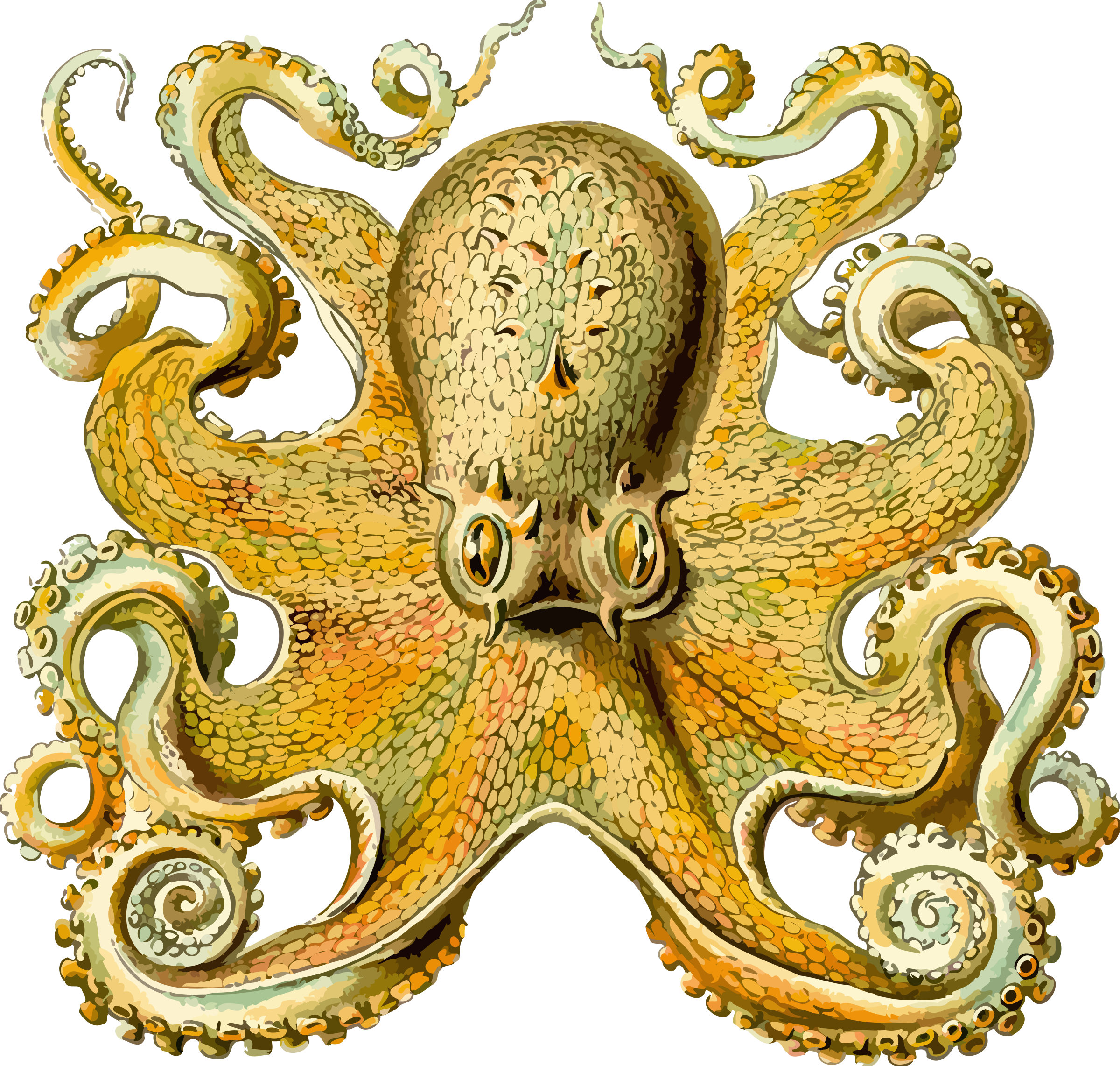 This Free Icons Png Design Of Octopus 2 Clipart (2400x2283), Png Download
