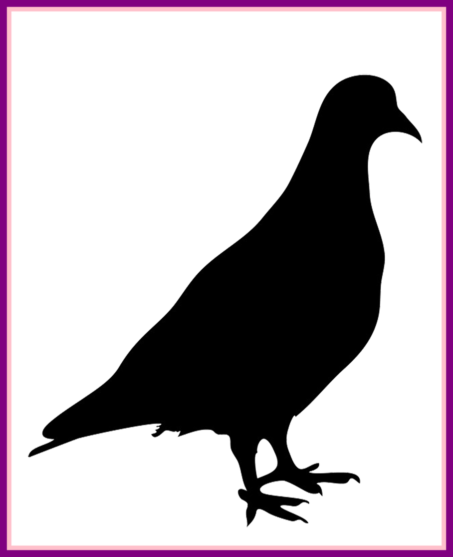 Drawn Pidgeons Crow - Transparent Pigeon Silhouette Clipart (908x1115), Png Download