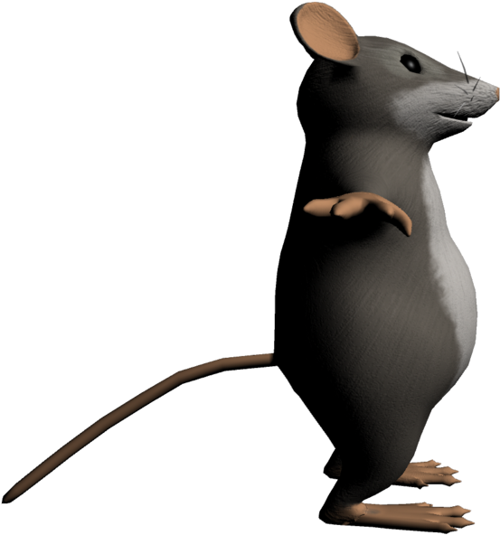 3d Model Rat - 3d Rat Png Clipart (1200x675), Png Download