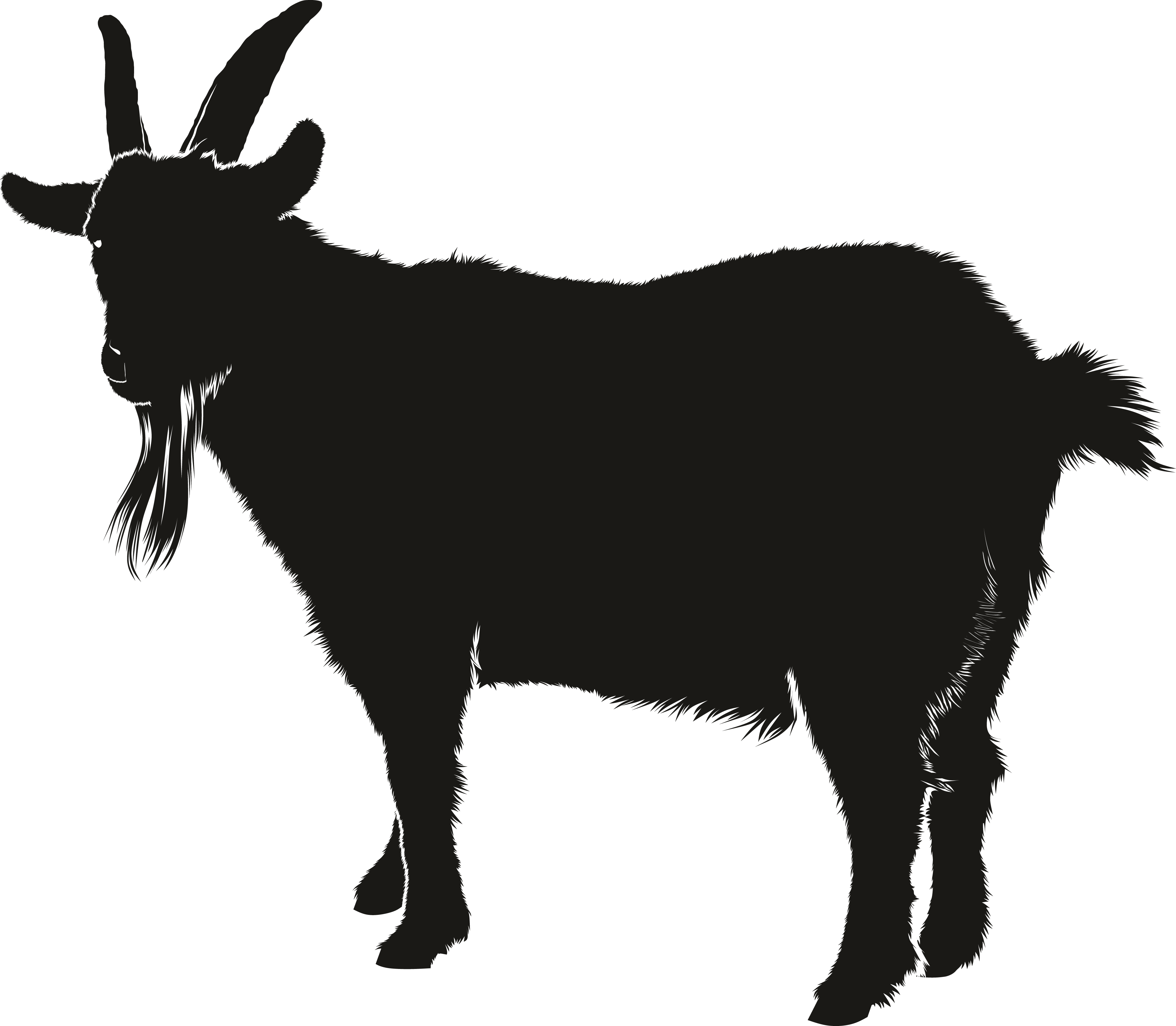 Goat Clipart Png Transparent Png (4000x3489), Png Download