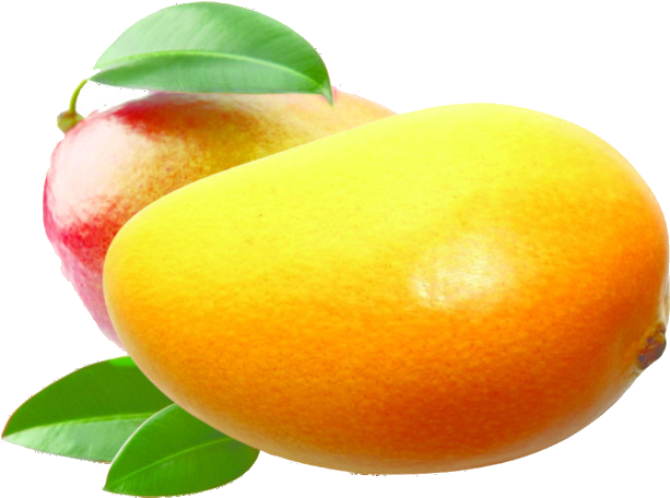 Ice Cream Mango - Mangos Clipart (650x481), Png Download