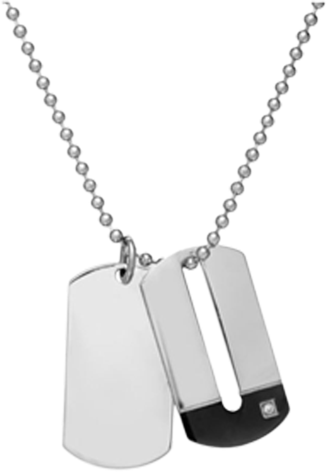 Dog Tags Clipart Black And White - Dog Tag Necklace Png Transparent Png (1000x1000), Png Download