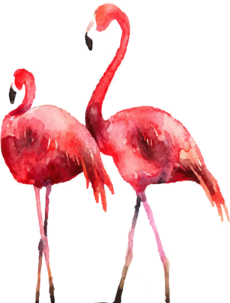 Pin By Eric Nguyen - Flamingo Painting Hd Clipart (901x971), Png Download