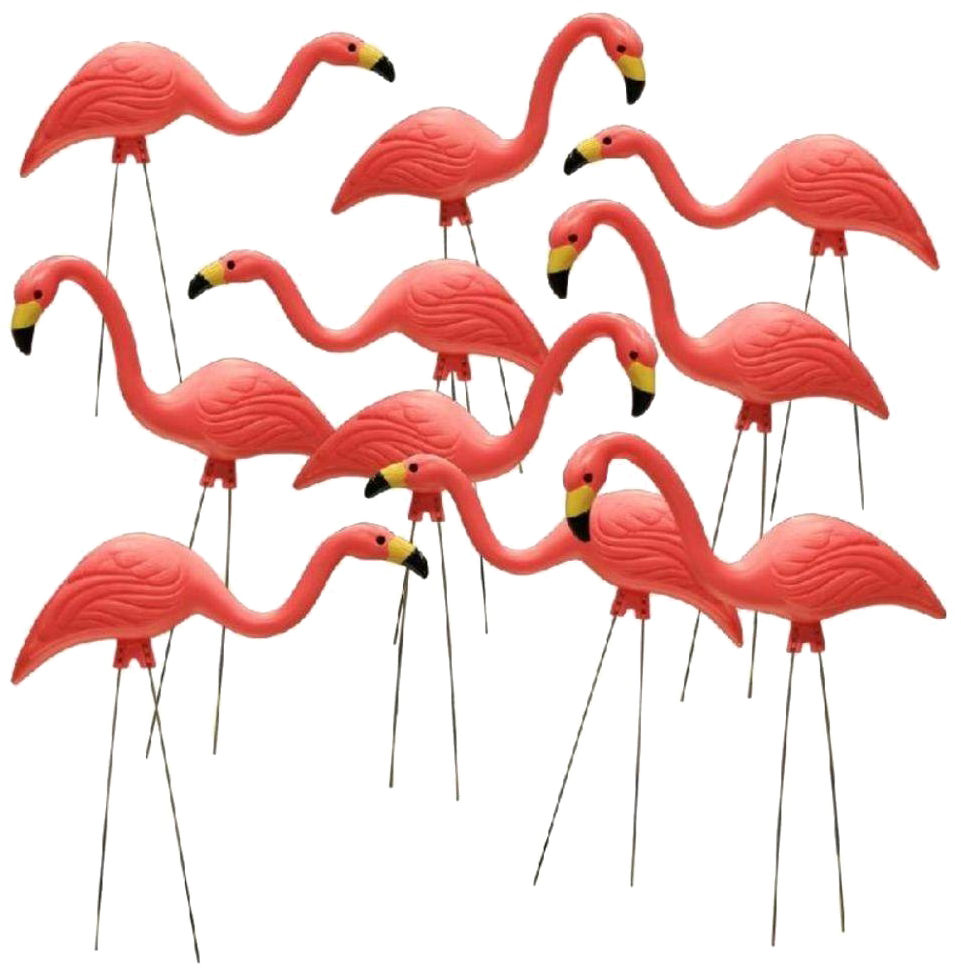Flamingo Download Transparent Png Image - Yard Flamingos Clipart (1000x1000), Png Download
