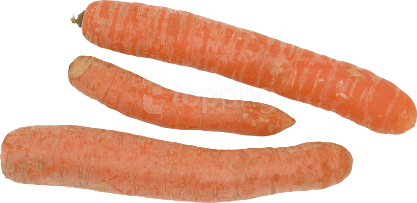 Free Png Download Carrot Png Images Background Png - Baby Carrot Clipart (850x415), Png Download