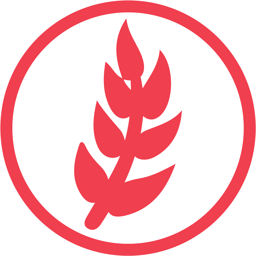 Download Svg Download Png - Wheat Allergy Png Clipart (1024x1024), Png Download
