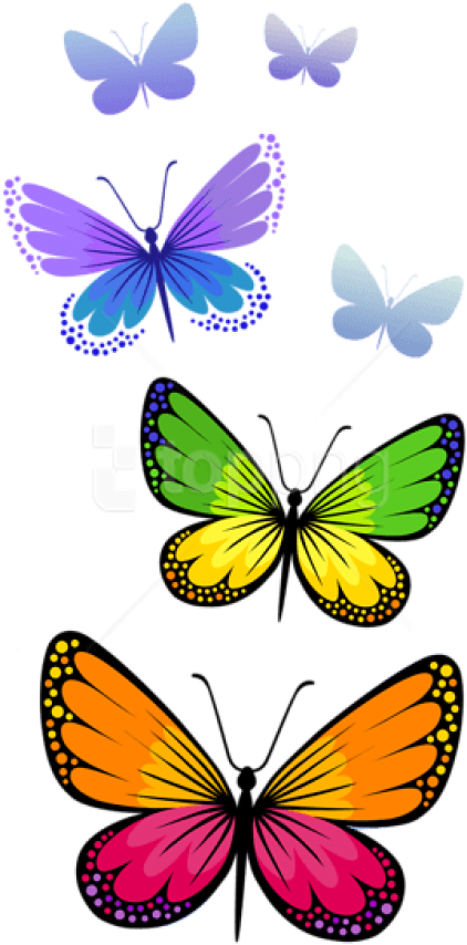Free Png Download Butterflies Composition Clipart Png - Png Format Butterfly Clipart Png Transparent Png (480x942), Png Download