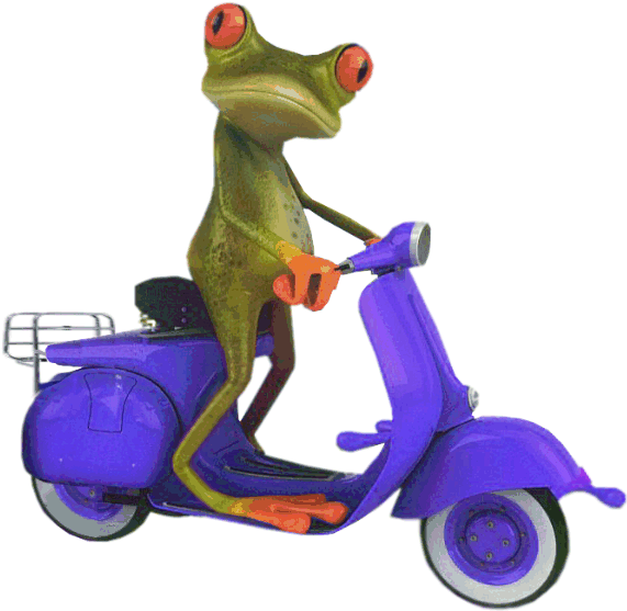 Blue Scooter Frog - Frog On Scooter Png Clipart (596x573), Png Download