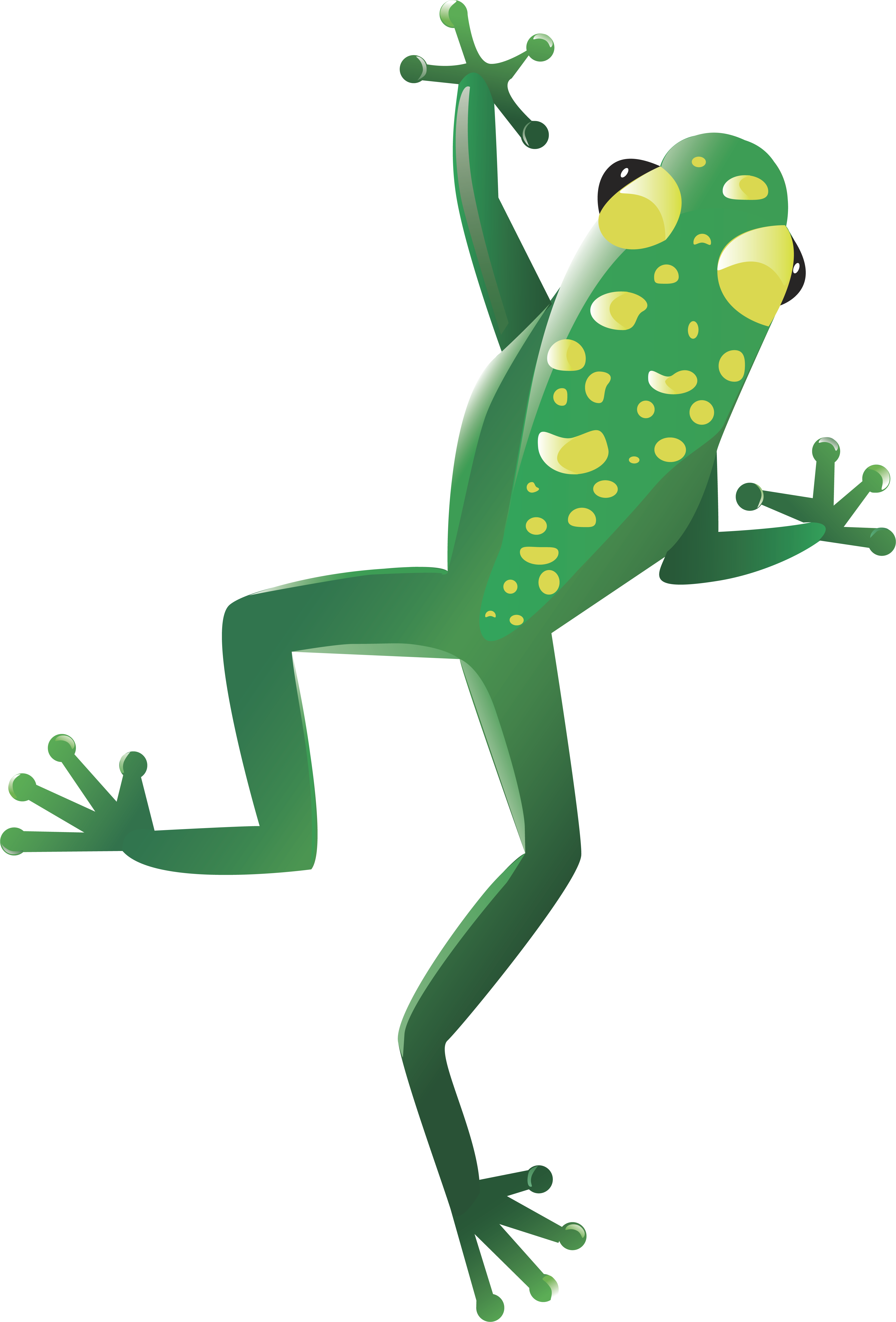 Frog Clipart (3872x5712), Png Download