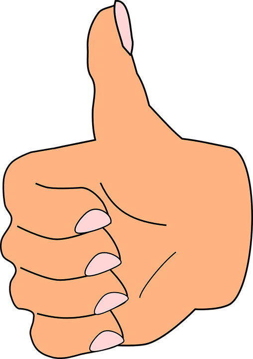Thumb Up Thumb Like Correct Hand Fingers Positive - Thumb Clipart - Png Download (508x720), Png Download