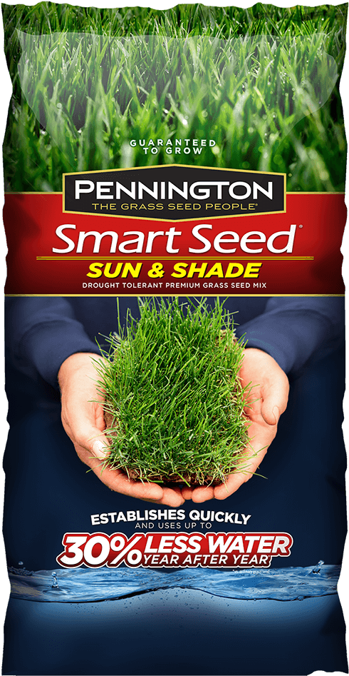 Shrub Bushes Clipart Plant Seed - Pennington Sun And Shade Mix - Png Download (1000x1000), Png Download