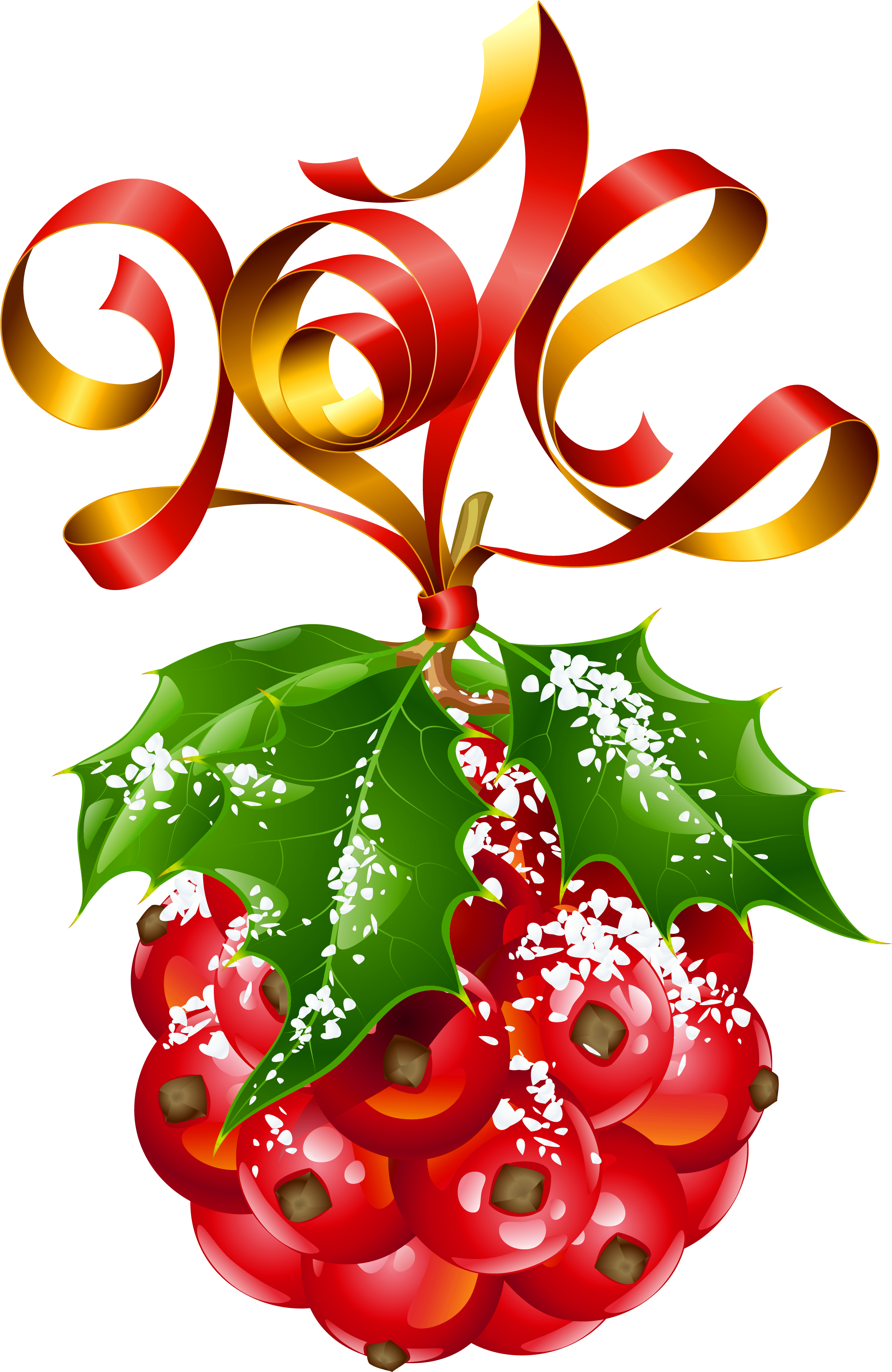 Free Png Mistletoe Christmas Ornament Png - Happy New Year 2012 Wishes Clipart (480x719), Png Download