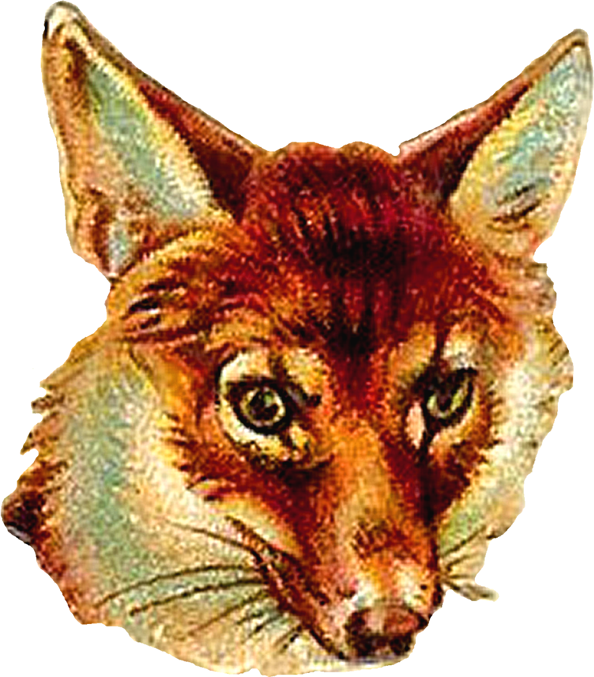 Digital Fox Clip Art Download Of Animal Portrait - Vintage Fox Clip Art - Png Download (1441x1600), Png Download
