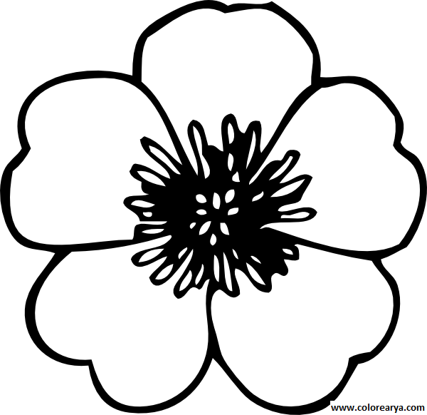 Flower Coloring Pages Png Flores Png Para Colorear - Flower Vector Art Black And White Clipart (600x582), Png Download