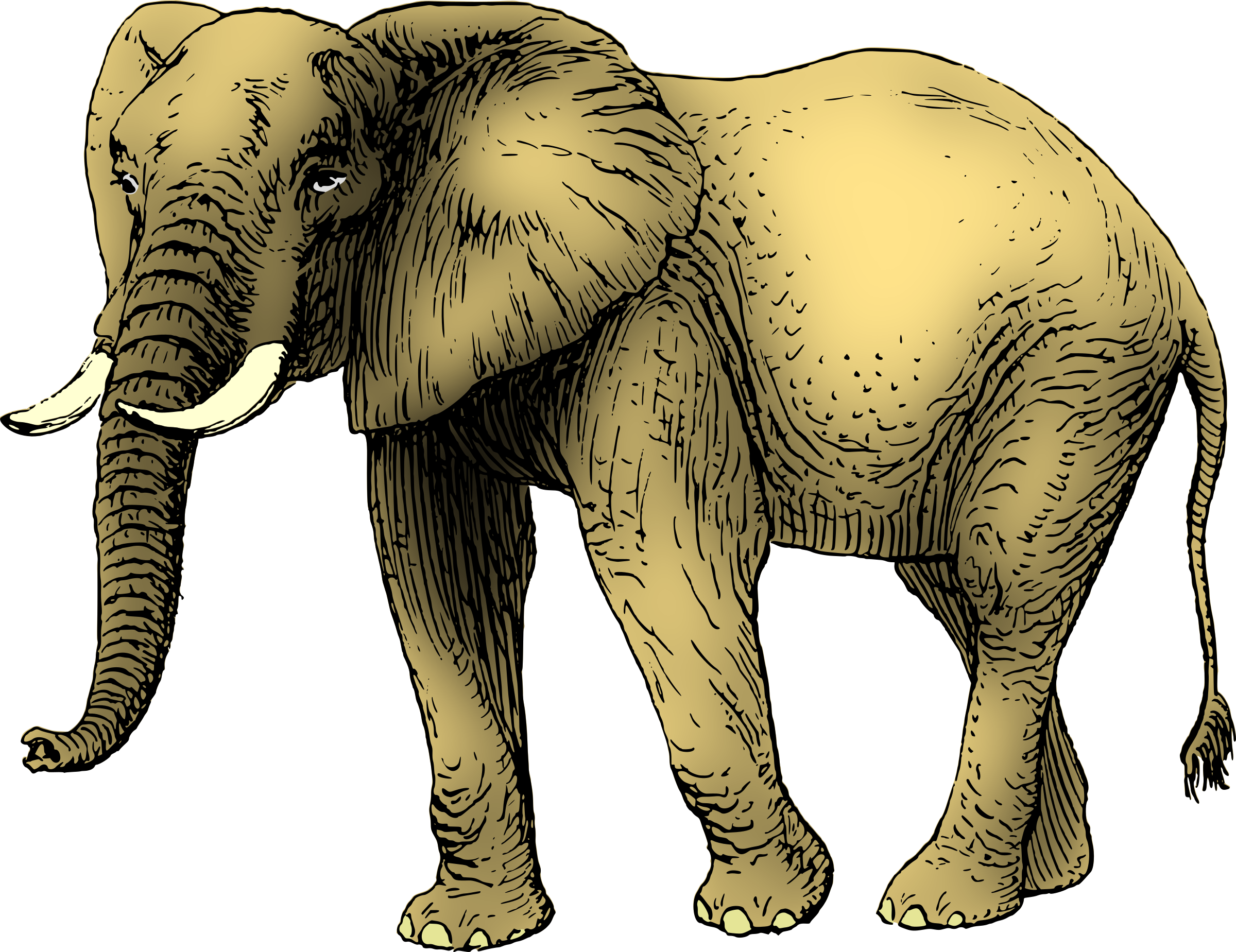 This Free Icons Png Design Of Elephant 9 Clipart (2400x1849), Png Download