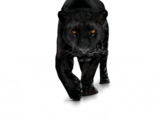 Black Panther Animal Png Clipart (640x480), Png Download