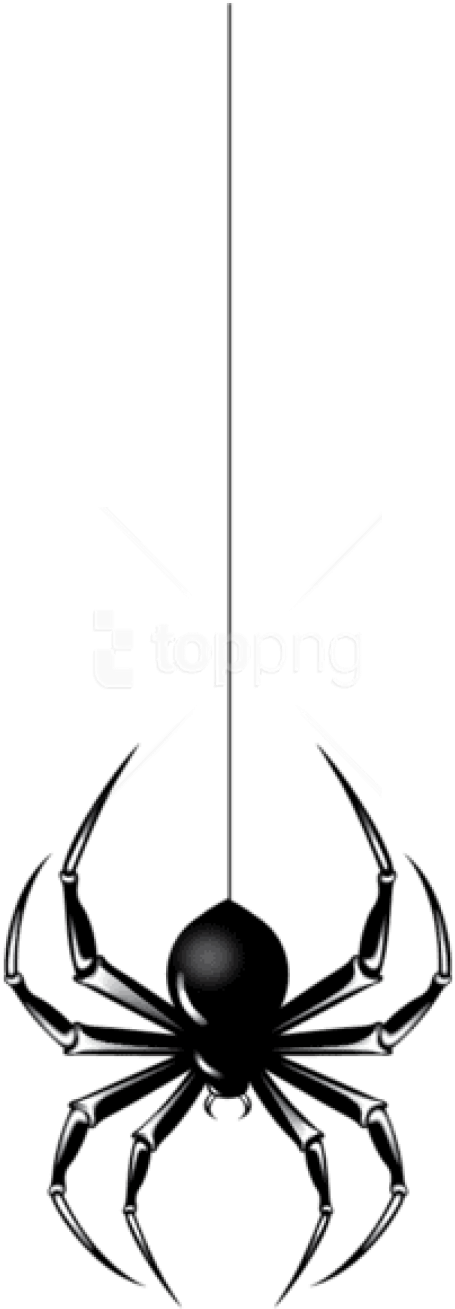 Free Png Download Halloween Black Spider Png Images - Spider Hanging Clip Art Transparent Png (480x1353), Png Download