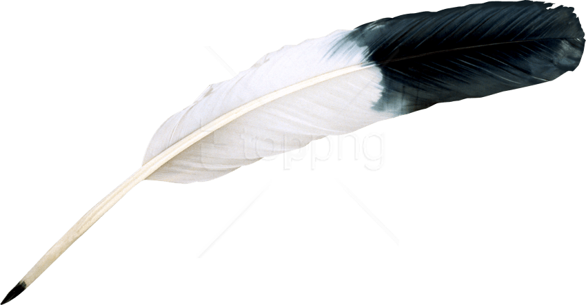 Free Png Images - Feather Png Clipart (850x443), Png Download
