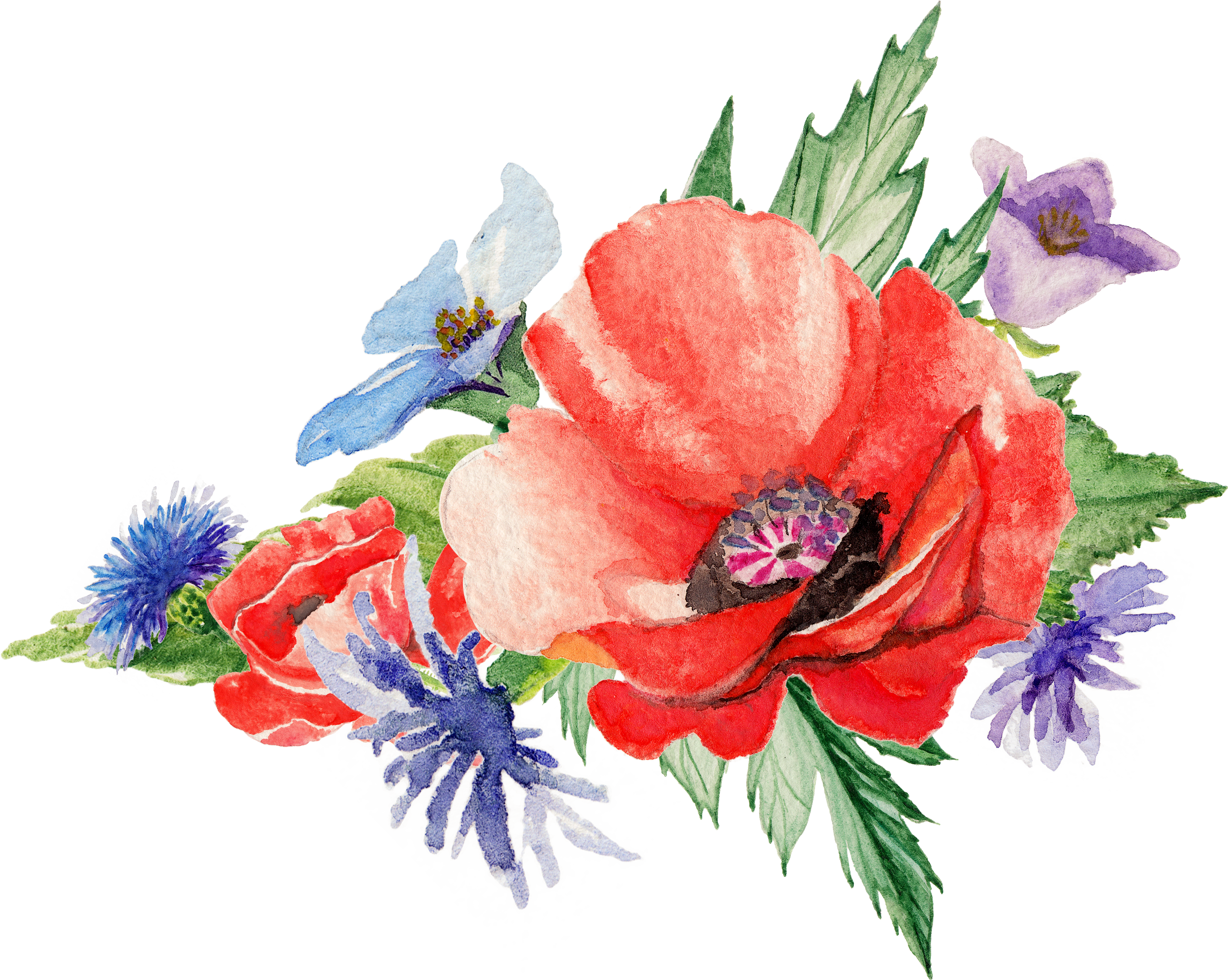 Flowers Poppy Art Painting Transprent Png Free - Poppy Flower Paint Png Clipart (2819x2251), Png Download
