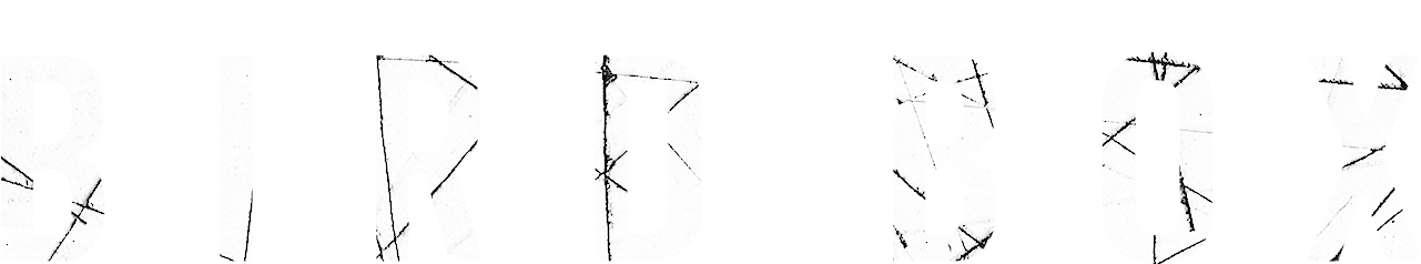 Bird Box Movie Logo Clipart (1280x288), Png Download