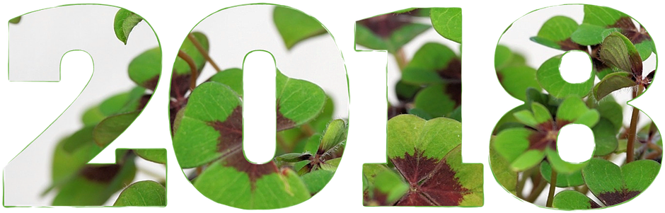 Happy New Year 2018 Png - 2018 Happy New Year Green Clipart (960x720), Png Download