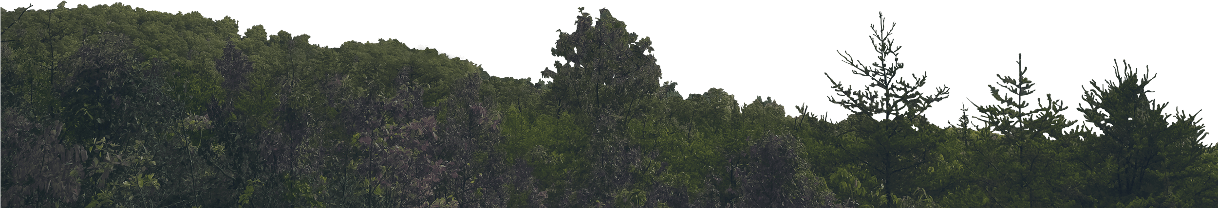 Watch Tower Skyline Skyline - Mountain Png Clipart (2500x1406), Png Download