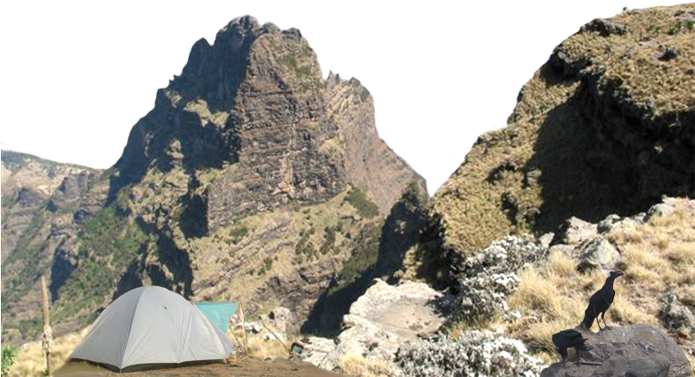 Png Background Mountain Clipart (780x440), Png Download