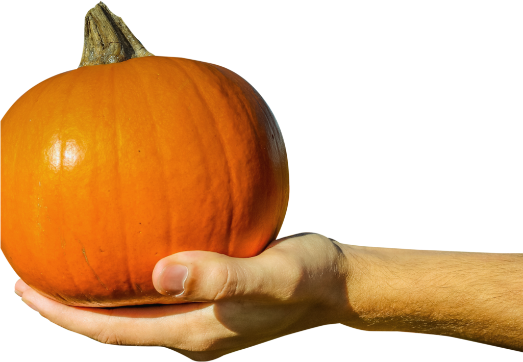 Hand Holding Orange Pumpkin Png Image - Pumpkin Clipart (1024x768), Png Download