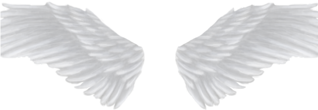 Angel Wings Png - Transparent Background Angel Wing Png Clipart (640x480), Png Download