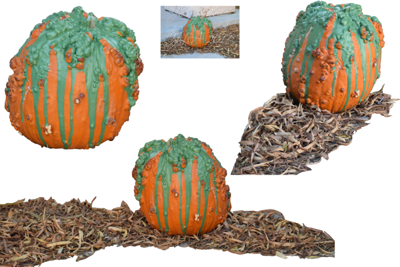 Warty Png Stock By Mom Espeace On - Pumpkin Clipart (800x533), Png Download