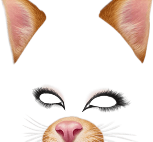 Snapchat Filters Png Transparent Images - Png Snapchat Filters Clipart (640x480), Png Download