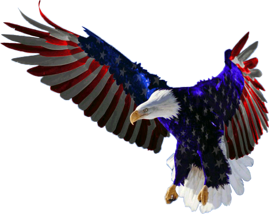 American Flag Eagle Png - Majestic American Bald Eagle Clipart (960x720), Png Download