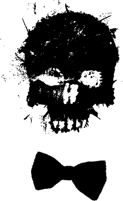 You Gotta Love Fanart - Skull Png Transparent Clipart (540x690), Png Download