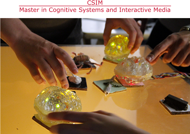 Interdisciplinary Master In Cognitive Systems And Interactive - Sphere Clipart (800x600), Png Download