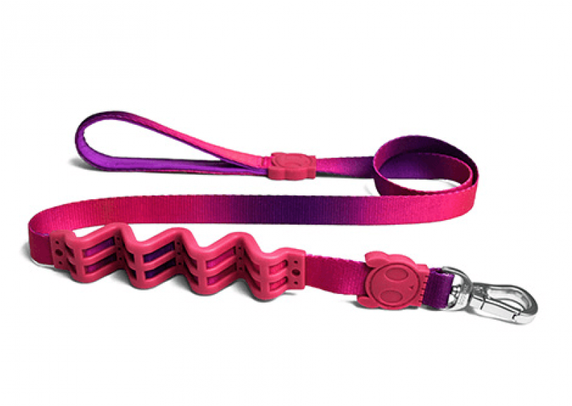 Ruff Leash Clipart (800x800), Png Download