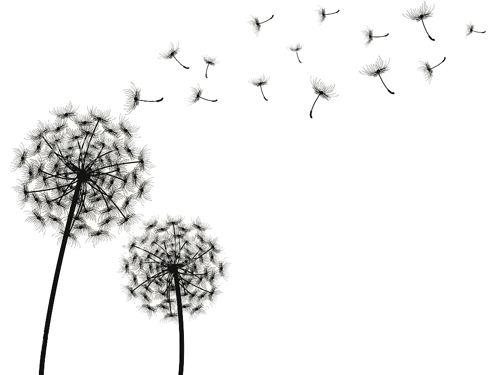 Wind Blowing Png Clipart (1024x772), Png Download